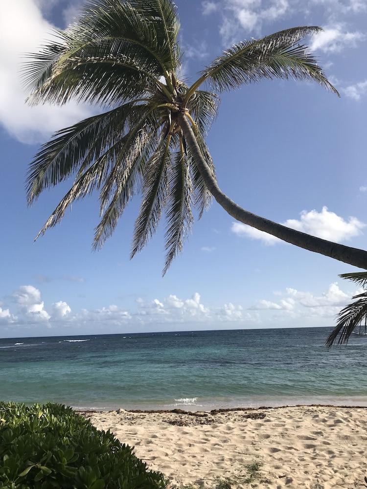 The Palms At Pelican Cove (Adults Only) La Grande Princesse Exterior foto